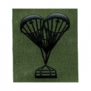 Comprar DISTINTIVO INSTRUTOR E OPERADOR DE ABASTECIMENTO AREO - TELA VERDE - Rogue Store